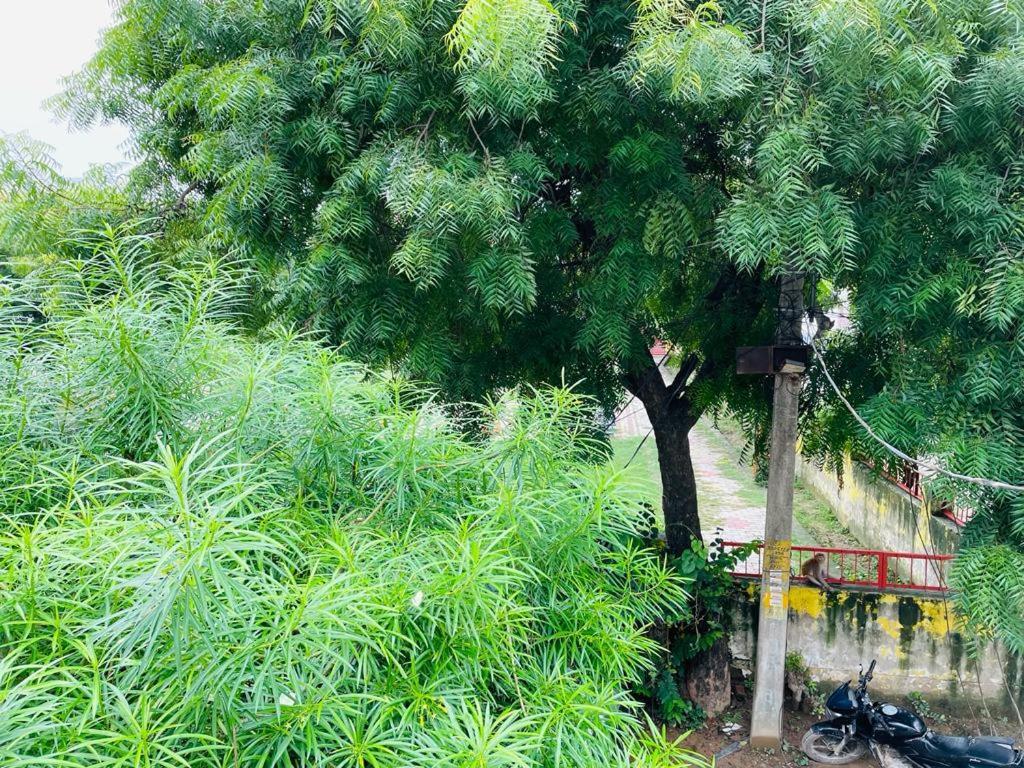 Shree Balaji Homestay Ayodhya 外观 照片
